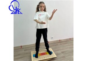 Балансировочная доска Бильгоу